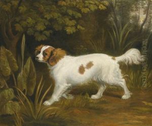 A Cavalier King Charles Spaniel In A Landscape