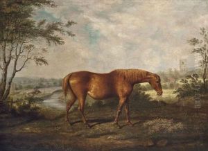 The Old Tartan Mare In Her 28th Year, Belonging To Dennis O'kelly Esq