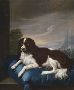 Ein Englischer Springer Spaniel Auf Einem Kissen Ein Englischer Springer Spaniel Auf Einem Kissen
