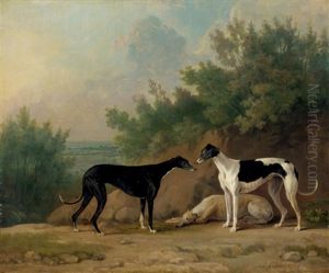 Three Greyhounds by Sawrey Gilpin