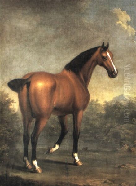 Bay Hunter In Wooded River Landscape - view 1