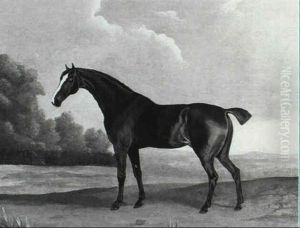Pot-8-os, Son Of Eclipse Pot-8-os, Son Of Eclipse