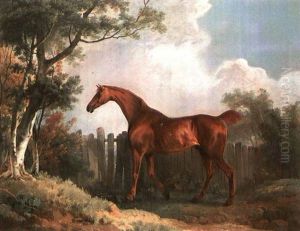 Chestnut Hunter In A Landscape