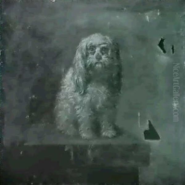 A Tibetan Spaniel Owned By Sir George Wombwell Bt. - view 1