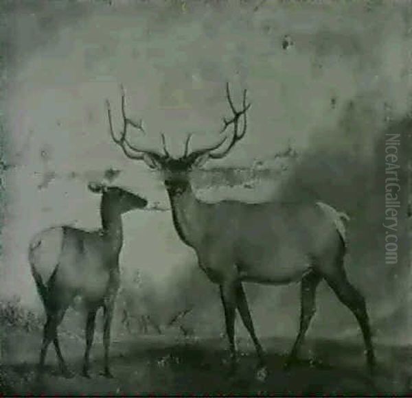 Red Deer In A Park - view 1