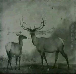 Red Deer In A Park Red Deer In A Park