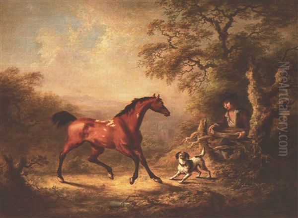 A Groom Offering A Feeding Sieve To A Pony In A Wooded      Landscape - view 1