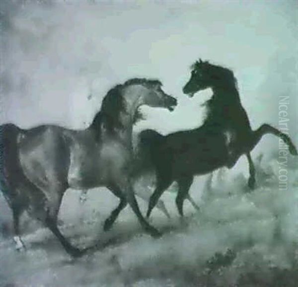 Fighting Horses - view 1