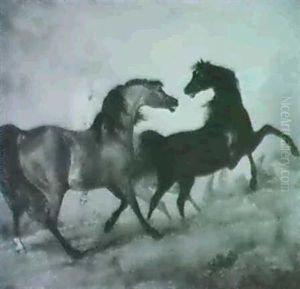 Fighting Horses Fighting Horses