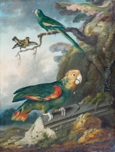 Perroquet Et Oiseaux by Jean Jacques Bachelier