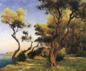 Derniers Rayons, Beaulieu