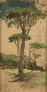 Arboles