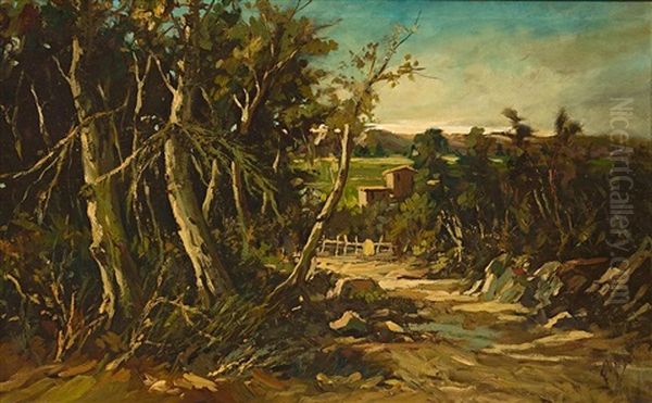 Paisaje - view 1