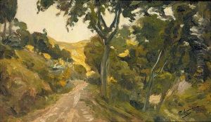 Camino Forestal