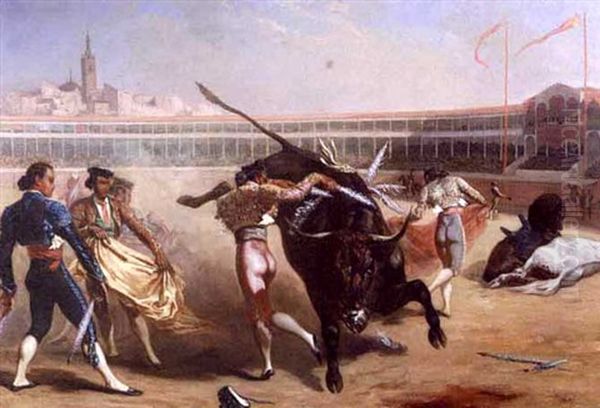 Bull Fighting Scene - view 1