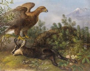 Adler Wacht Uber Erlegter Gemse Im Hochgebirge by Josef Ginovsky