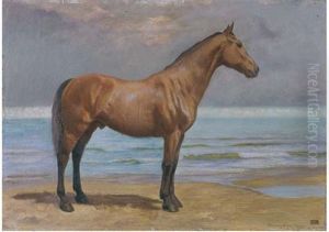Cavallo Sulla Spiaggia by Edoardo Gioja