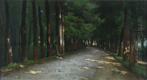 Viale Alle Cascine - view 1