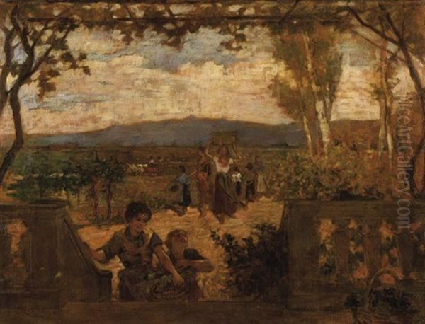 Uve Alla Padrona - view 1