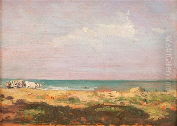 Contadino Con Buoi Sulla Spiaggia Della Maremma - view 1