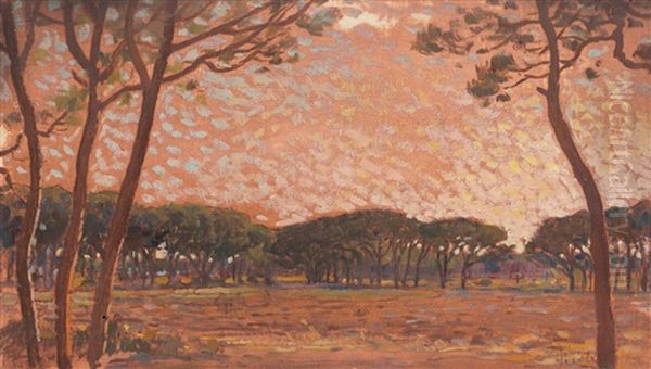 Pineta In Maremma - view 1