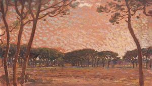 Pineta In Maremma