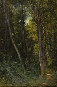 Bosco Bosco