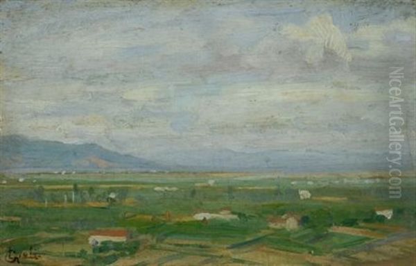 Campagna Pisana - view 1