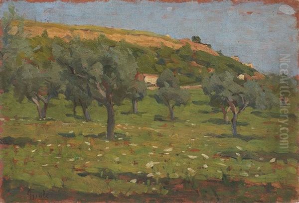 Paesaggio Toscano - view 1