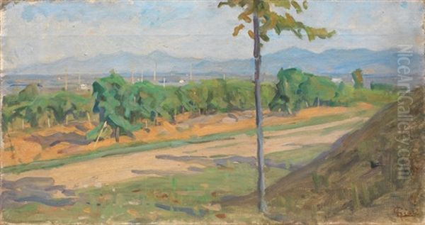 Campagna Pisana - view 1