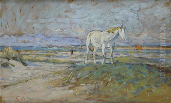 Cavallo Sulla Spiaggia - view 1