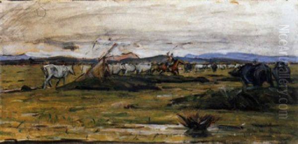 Mandrie Maremmane - view 1