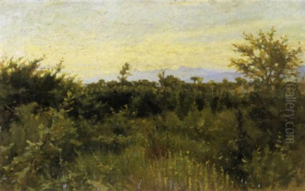 Bosco A Fauglia, 1892 - view 1