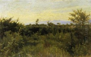 Bosco A Fauglia, 1892 Bosco A Fauglia, 1892