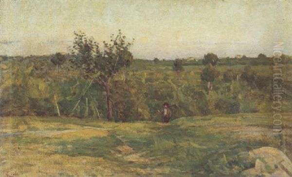 Nei Campi - view 1