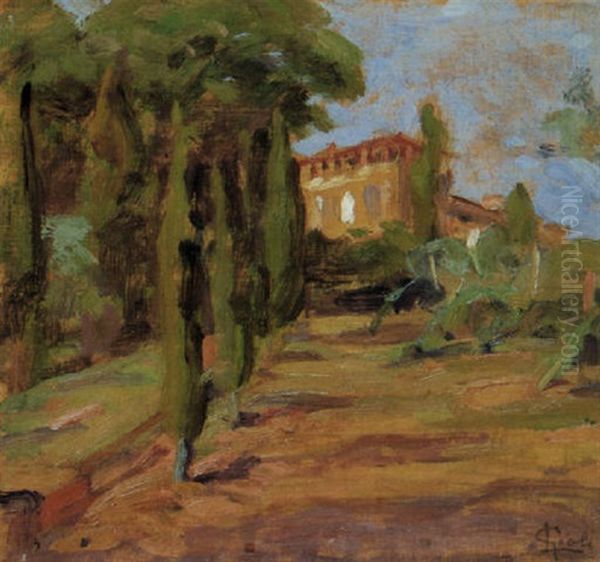 Fauglia - view 1