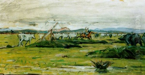 Mandrie Maremmane - view 1