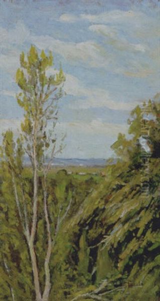 Paesaggio Di Fauglia - view 1