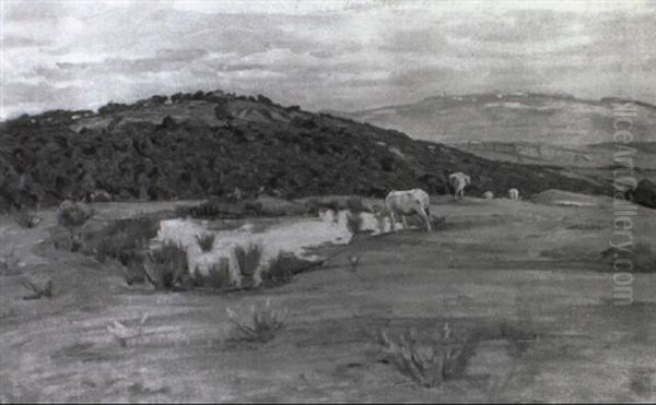 Paesaggio Toscano Con Buoi - view 1