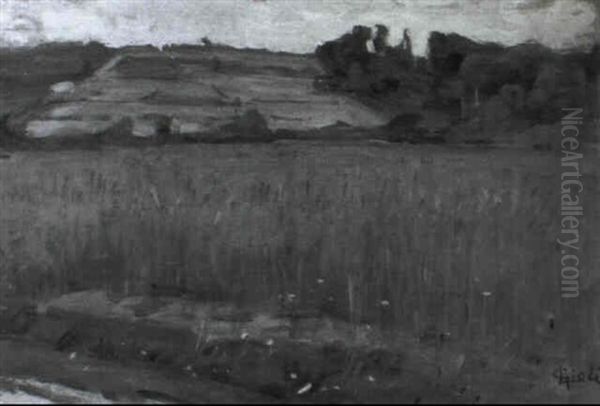 Campo Di Grano - view 1