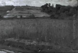 Campo Di Grano by Luigi Gioli