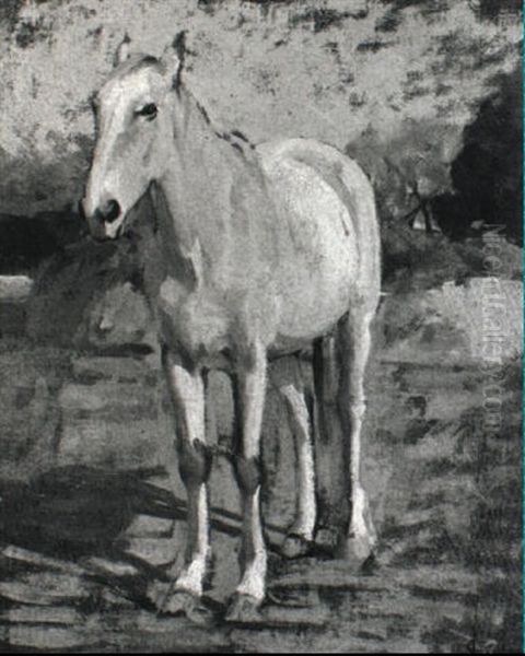 Cavallo Bianco - view 1