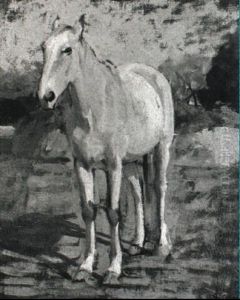 Cavallo Bianco by Luigi Gioli