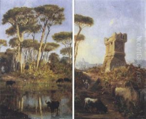 Bufali Nella Campagna Romana