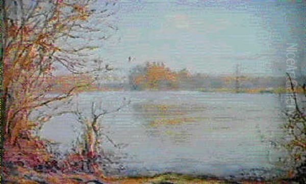 Rivage Du Bord De Loire - view 1