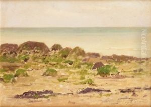 La Plage La Plage