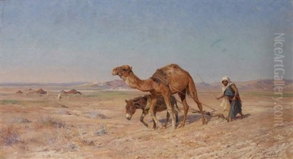 Le Labour Au Maroc - view 1