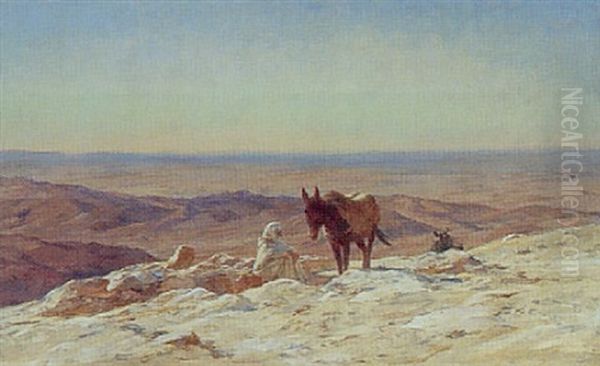 Anier Dans Le Desert - view 1