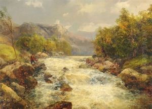 Voralpine Landschaft Mit Wildbach Und Fischer