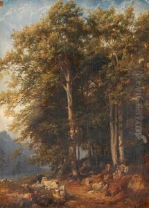 Etude De Hetres Sur Le Flueberg Pres Brienz by Karl Girardet
